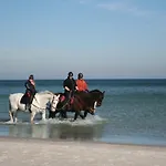 Ostseetraum Zingst