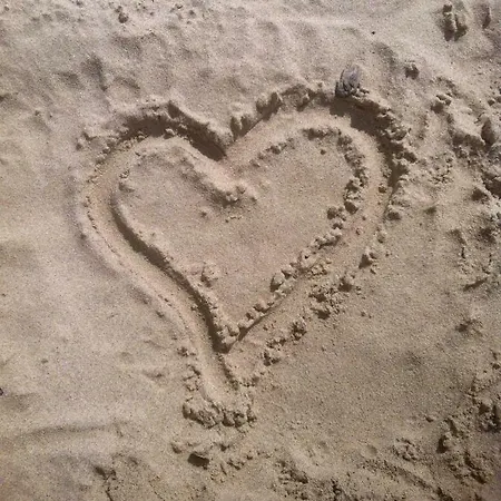 Ostseetraum * זינקסט