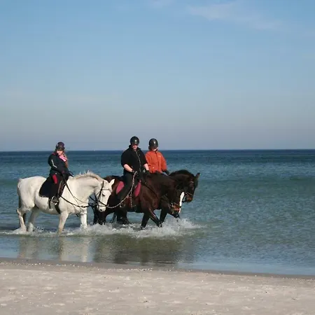Ostseetraum زنغست