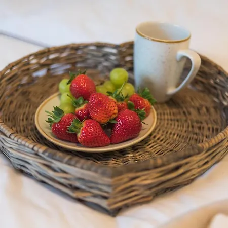 Ostseetraum דירה זינקסט